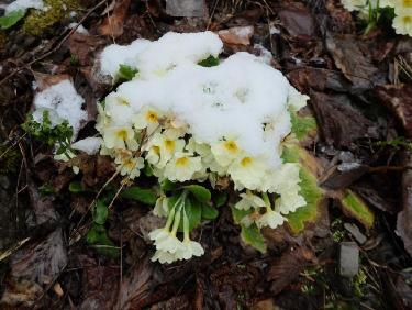 Ah elles font moins les malines