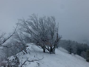 Sur la prairie sommitale