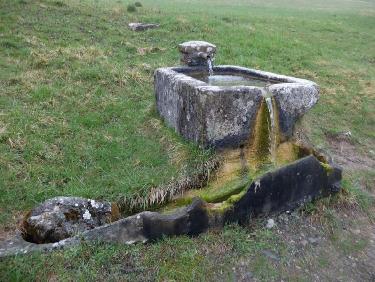 Une fontaine émerge de la brume