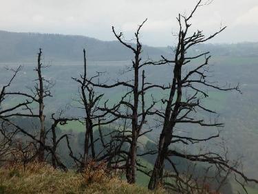 Un paysage à la kaspar Friedrich