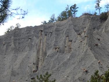 Demoiselles Coiffées