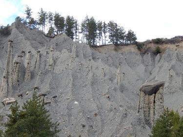 Demoiselles Coiffées