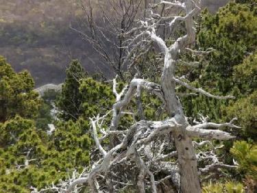 Même mort c&apos;est beau