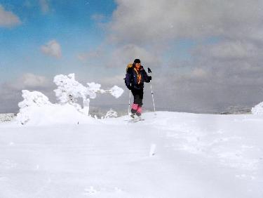 Bizarre animal de compagnie