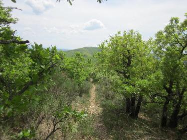 sentier de crête