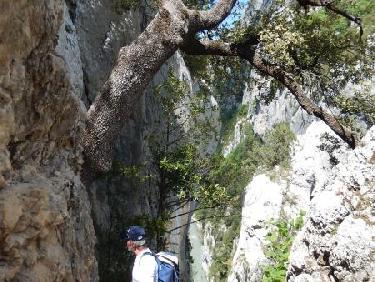 Sentier Blanc-Martel