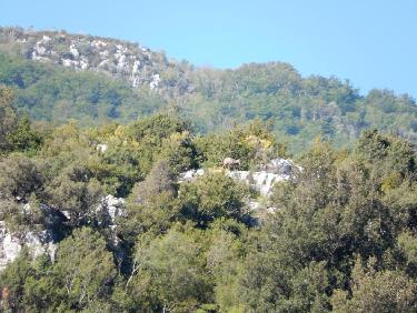 Voûte d&apos;Emeraude