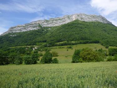 Le Néron au dessus des champs