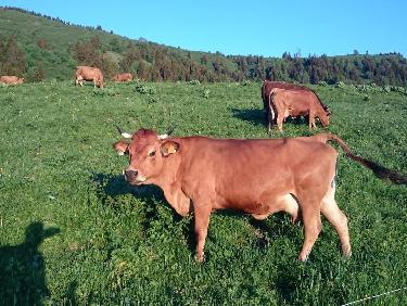 On est bien dans le Beaufortain