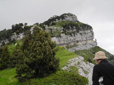 Le Piton depuis la crête de Montbrun
