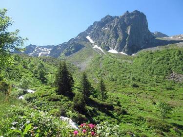 Vers la crête du Mouchillon