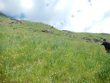 Montée au Col du Barle
