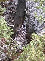 Le Glacier du Granier