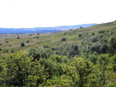 Vers les Jasseries de Colleigne