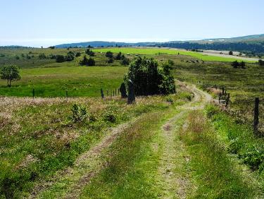 Sur les chemins du plateau