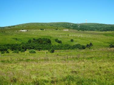 Jasseries de Colleigne