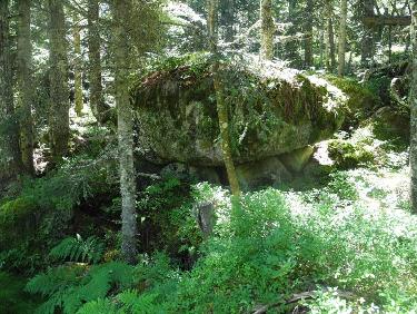 Gros bloc au bord du chemin