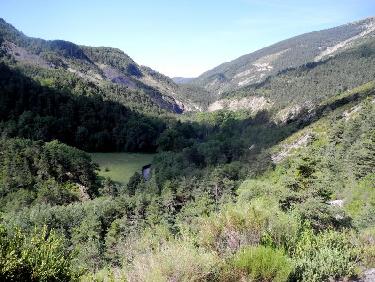 Dans le vallon de Reybaud