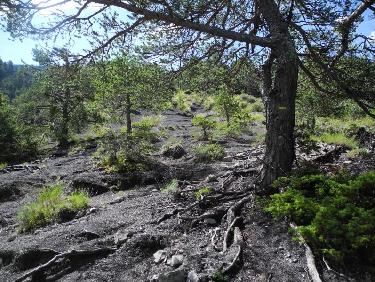 Montée dans les robines