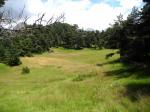 Grande clairière avant les 2 sommets