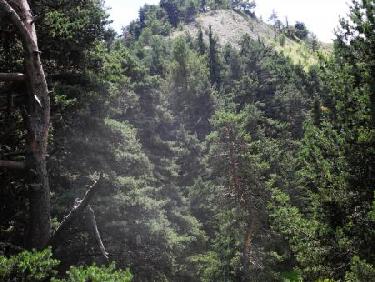 Tête du Rocher Troué