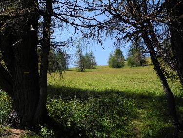 Dans la pente sous le Col de l&apos;Autapie