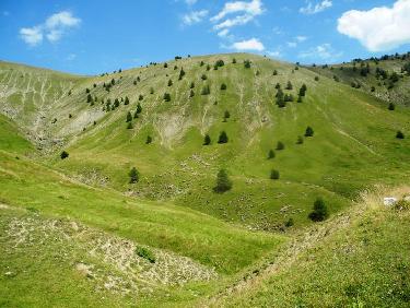 Descente vers le fond du vallon