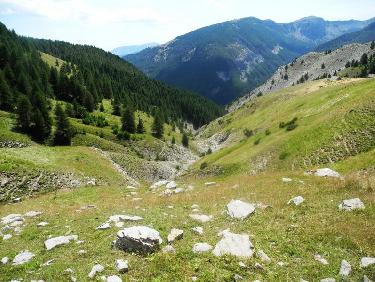 Sous les cabanes de Rest, le fond du ravin