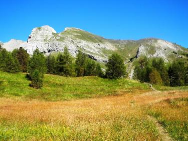 Au-dessus de la Foux