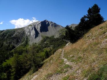 Le Caduc