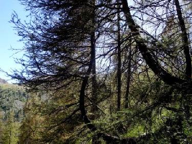 La verticalité à tout prix