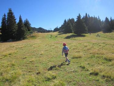 Dans les pentes herbeuses