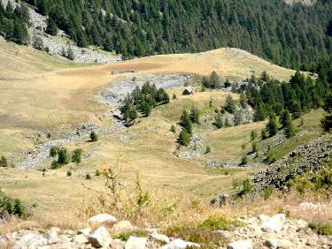 Le vallon de Joyeux (détail)