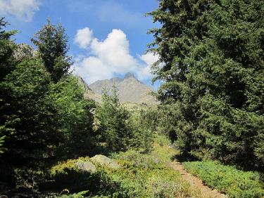 Vers le Pas du Bessay