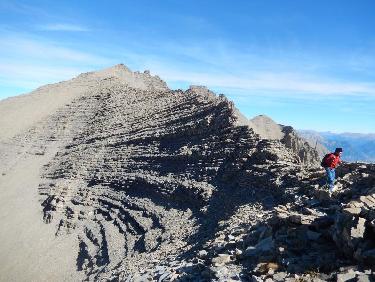 Tête de Soleil Boeuf