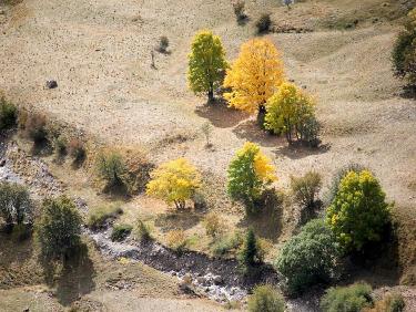 L&apos;automne arrive 