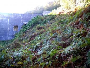 Dans la grimpette rive gauche