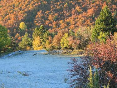 Couleurs d&apos;automne