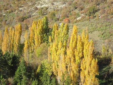 couleurs d&apos;automne