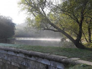 Le petit lac dans les brumes