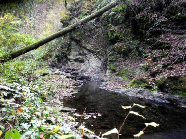 Dans les gorges du Couzon