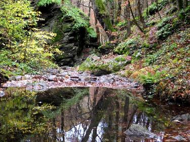 Le Couzon en petit lac