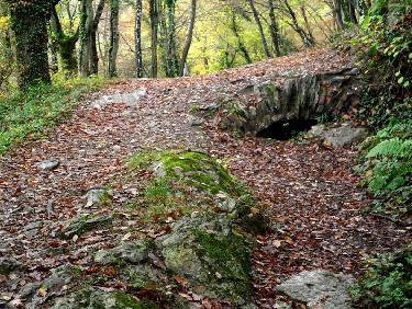 bout d'arche sur le sentier