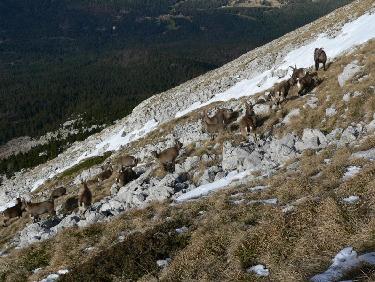 Le gros de la troupe