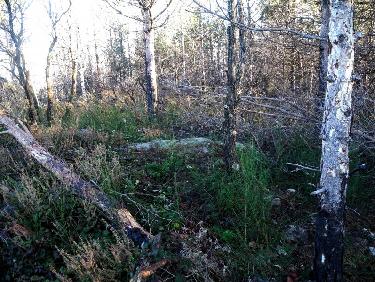 Sommet des Tourrettes