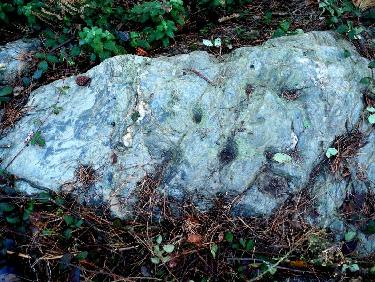 Dalle sommitale des Tourrettes