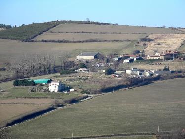 Marlin et Croix de Marlin