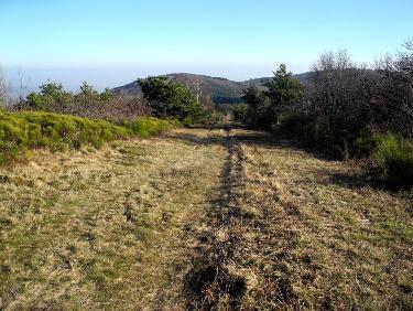 Au sommet du Cret de Longes