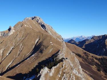 dent de Pleuven