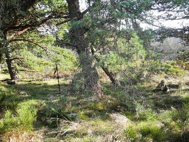 Au sommet du Suc du PrÃ©